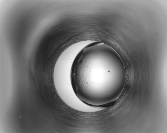 X0000096430762200801311432