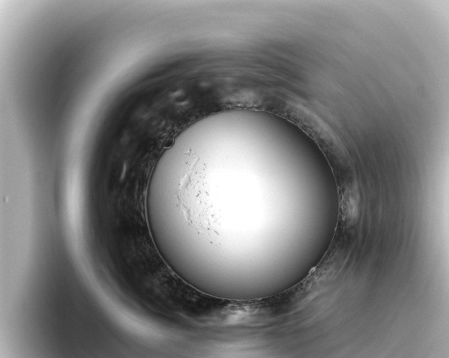 X0000096430764200801311432