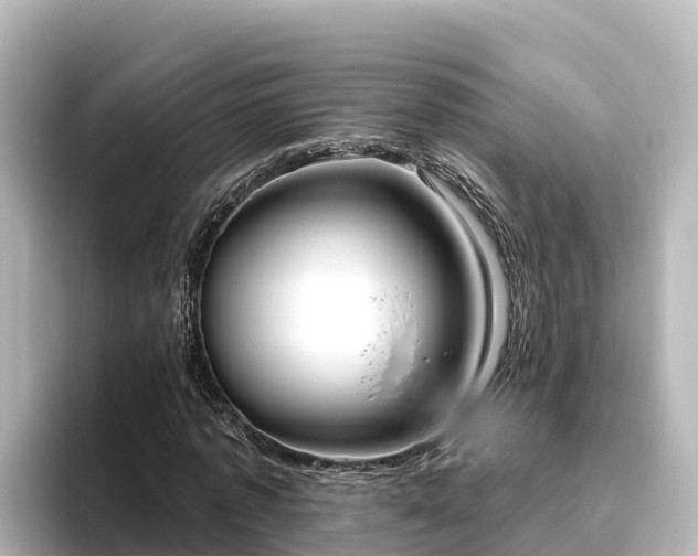 X0000096430773200801311431