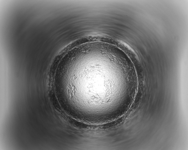 X0000096430775200801311431