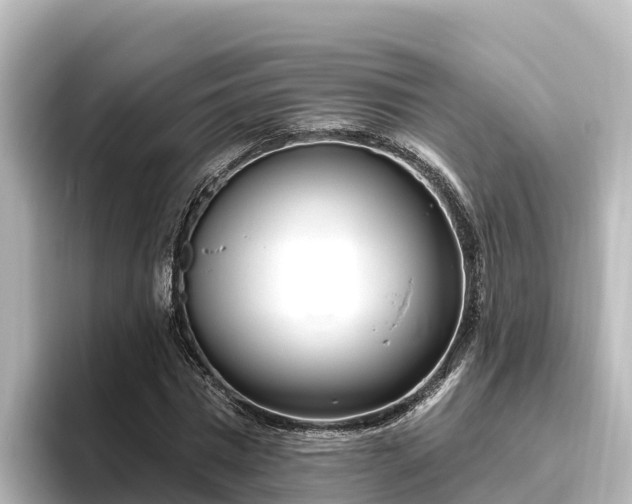 X0000096430777200801311431