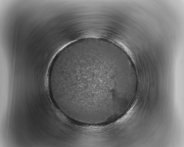 X0000096430779200801311431