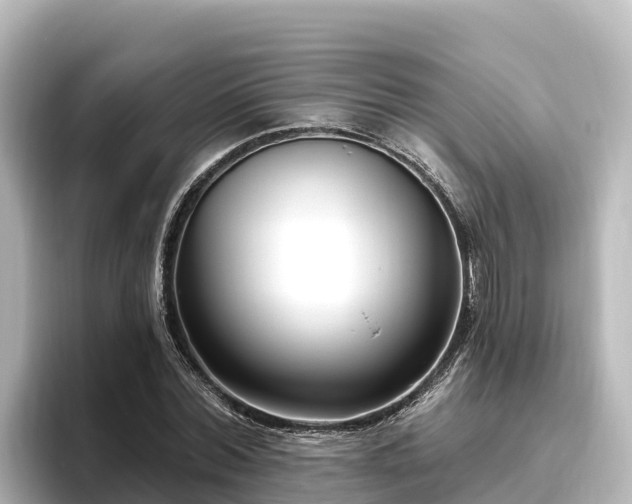 X0000096430780200801311431