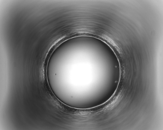 X0000096430782200801311431