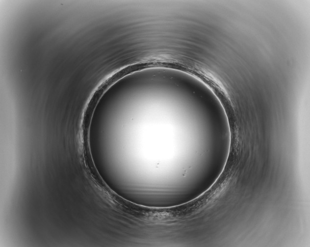 X0000096430784200801311431