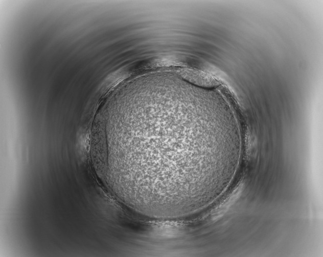 X0000096430785200801311431