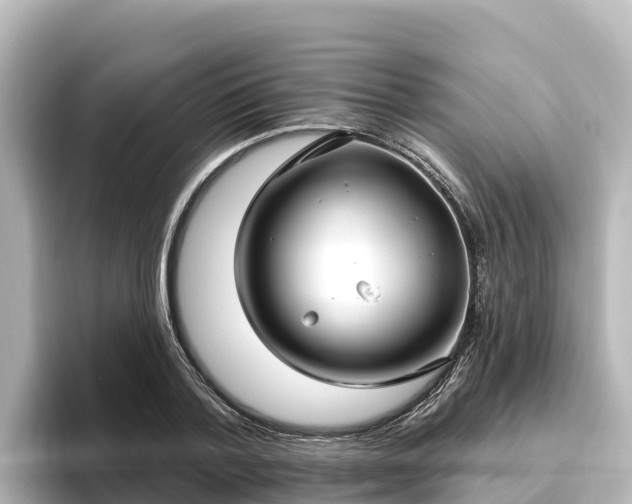 X0000096430788200801311431