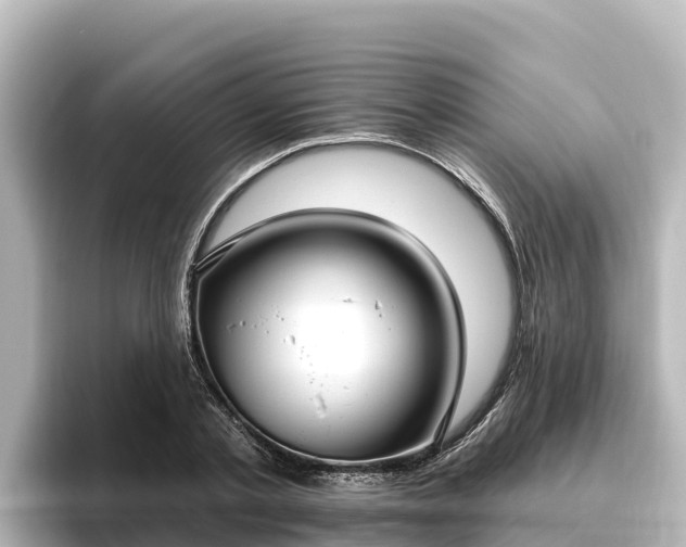 X0000096430789200801311431