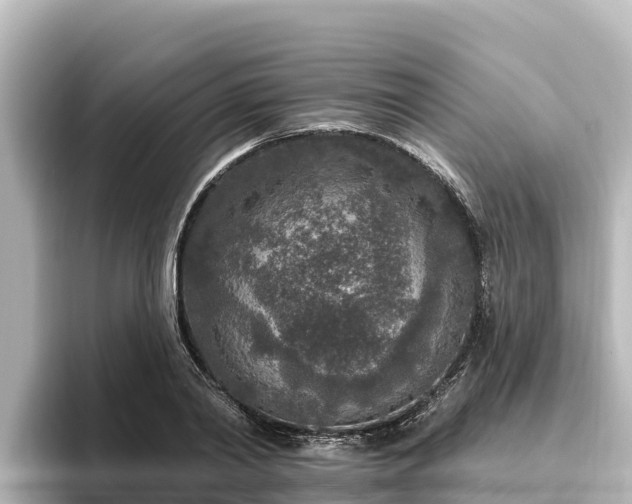 X0000096430790200801311431