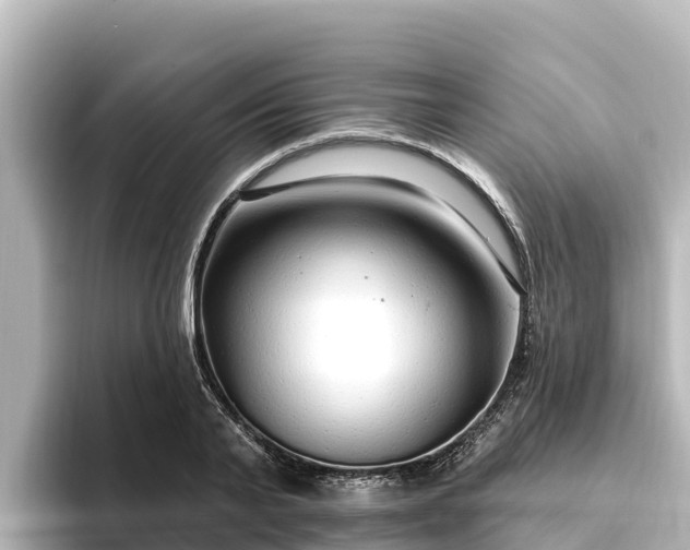 X0000096430791200801311431