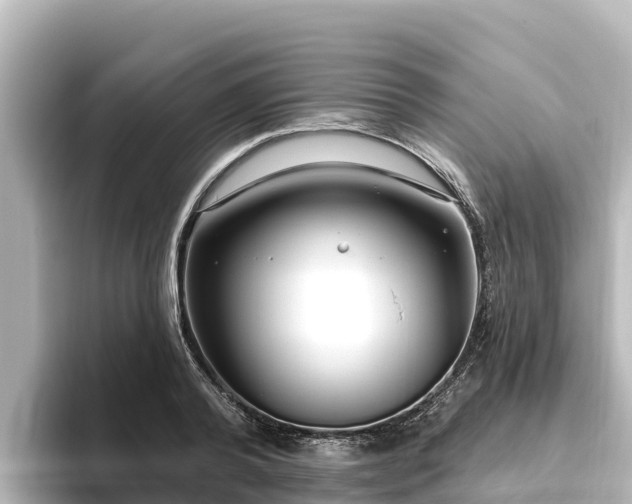 X0000096430792200801311431