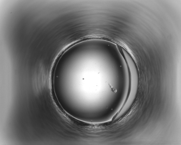X0000096430795200801311431