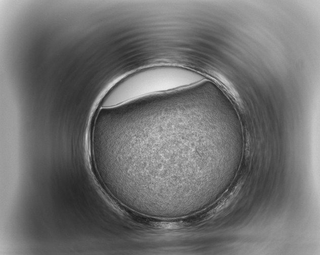 X0000096430796200801311431