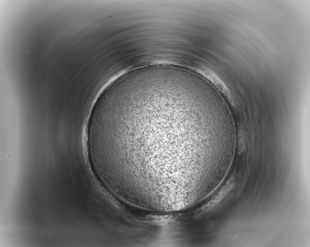 X0000096430798200801311431