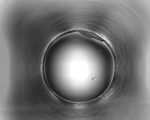 X0000096430799200801311431