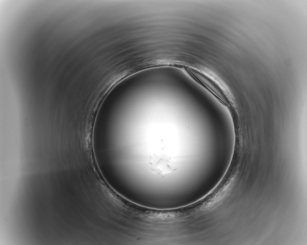 X0000096430801200801311431