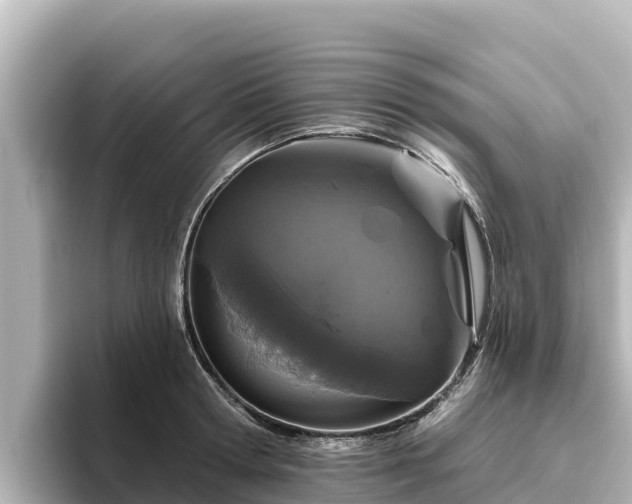 X0000096430802200801311431