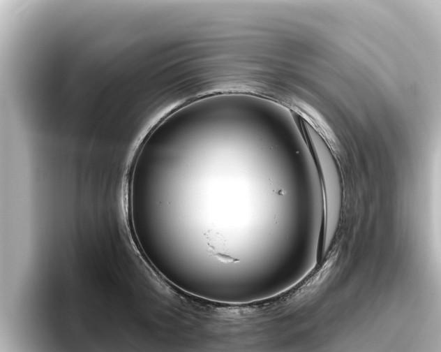 X0000096430804200801311431