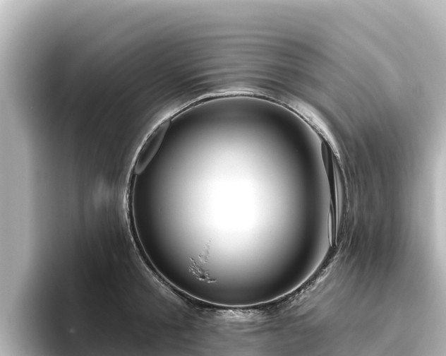 X0000096430805200801311431