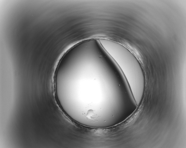 X0000096430808200801311431