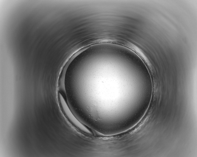 X0000096430810200801311431