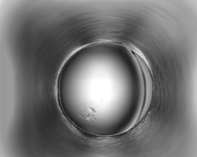 X0000096430811200801311431