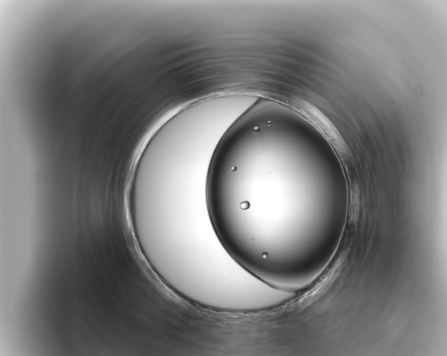 X0000096430812200801311431