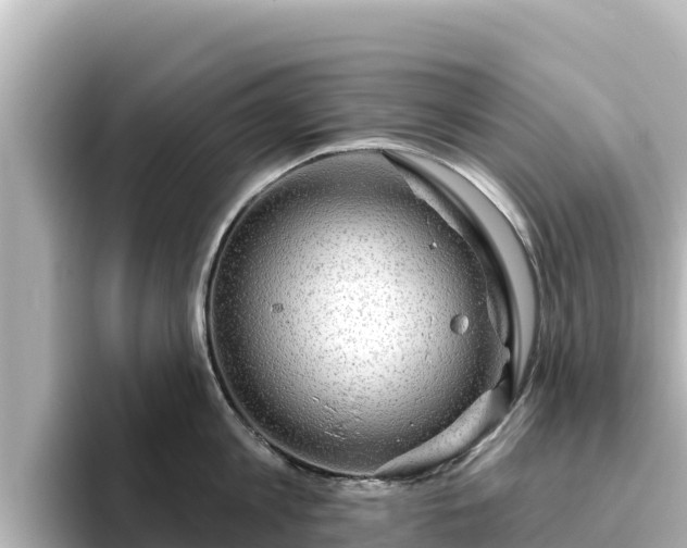 X0000096430813200801311431