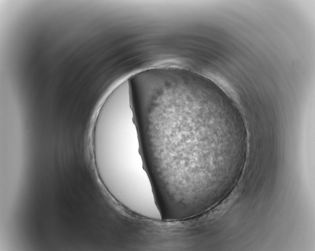 X0000096430816200801311431