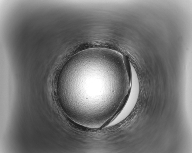 X0000096430817200801311430