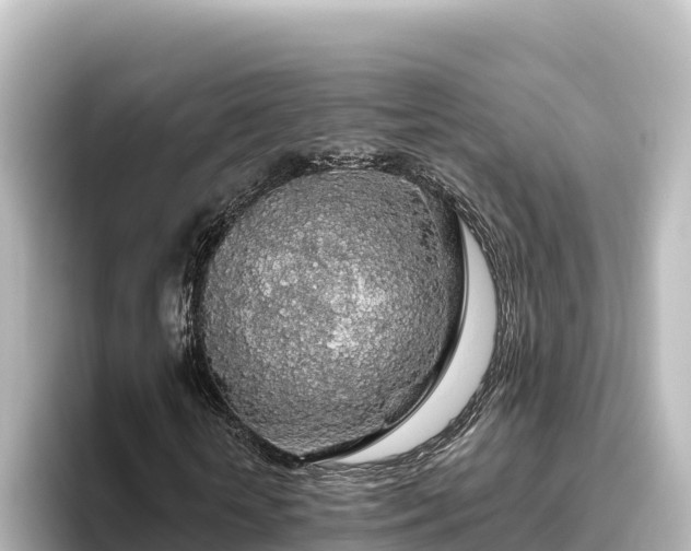 X0000096430818200801311430