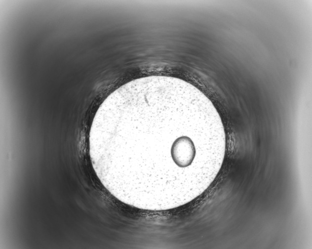 X0000096430820200801311430