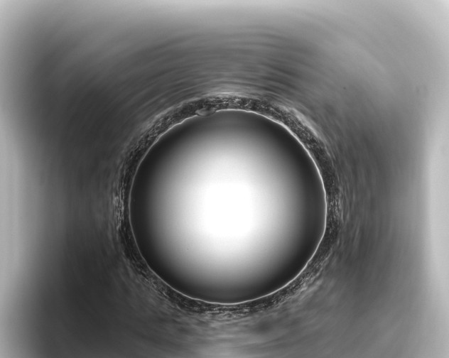 X0000096430821200801311430