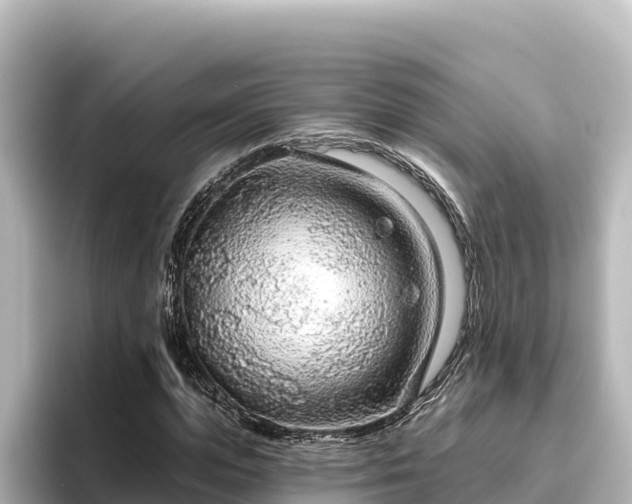 X0000096430823200801311430