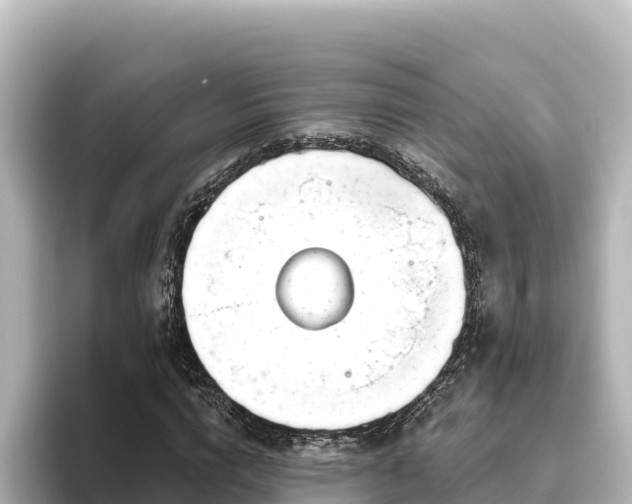 X0000096430824200801311430