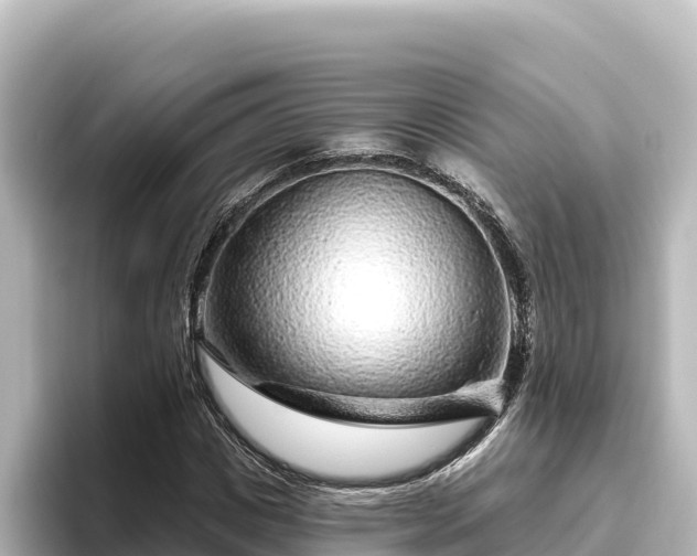 X0000096430825200801311430