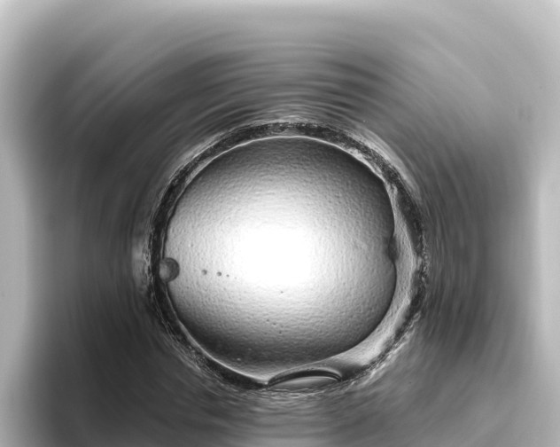 X0000096430826200801311430