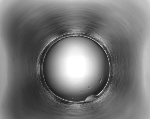 X0000096430827200801311430
