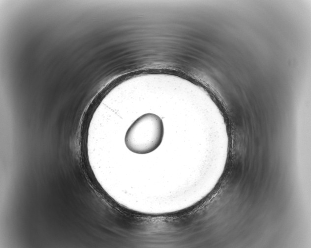 X0000096430828200801311430