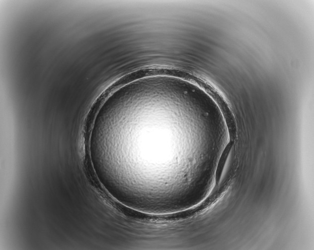 X0000096430829200801311430