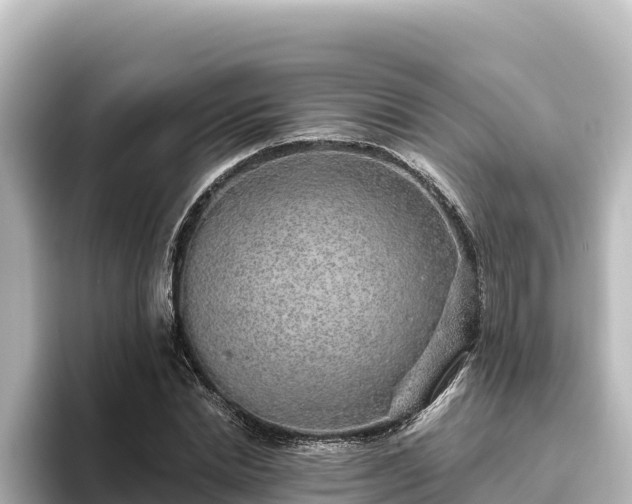 X0000096430830200801311430