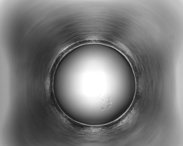 X0000096430831200801311430