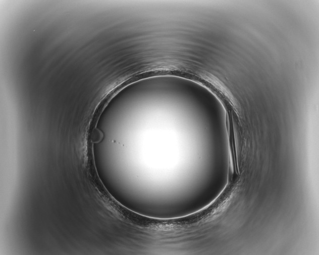 X0000096430834200801311431