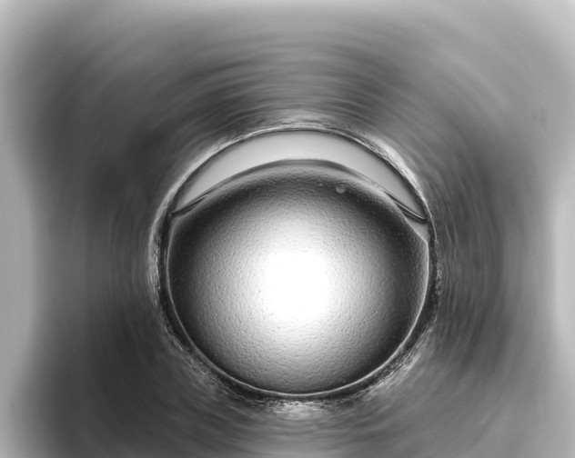 X0000096430835200801311431