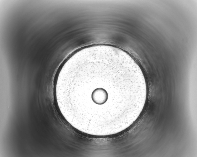 X0000096430836200801311431