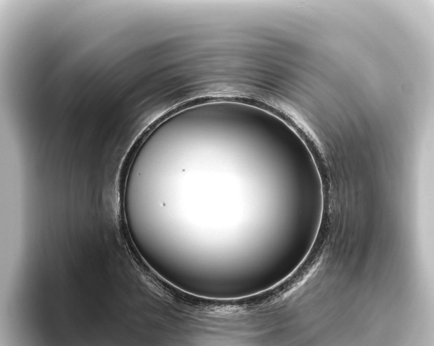 X0000096430837200801311431