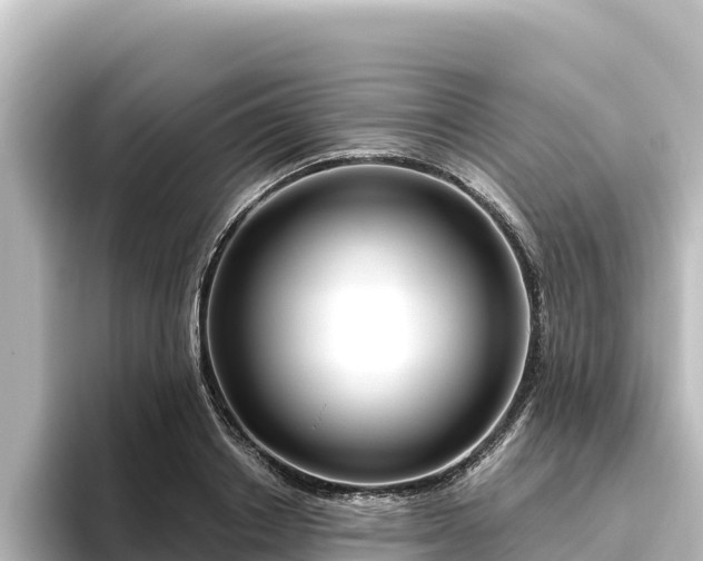 X0000096430842200801311431