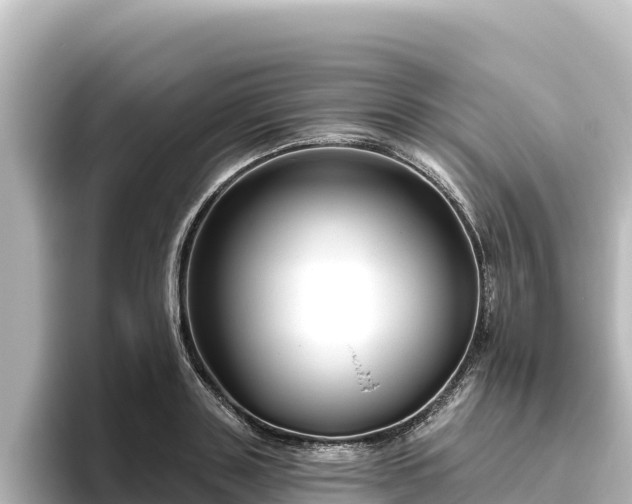 X0000096430843200801311431