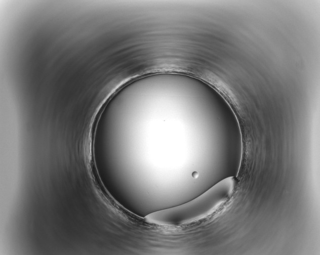 X0000096430844200801311431