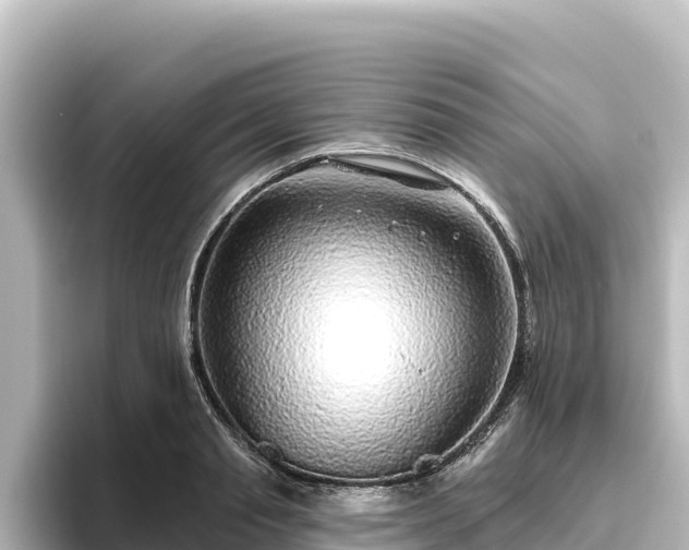 X0000096430845200801311431